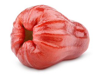 Similar image 6012294