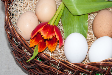 Similar image 6012505