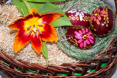 Similar image 6012508