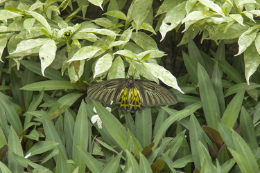 Similar image 6012530