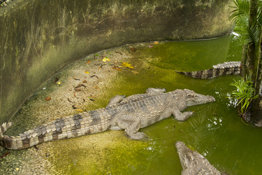 Similar image 6012535