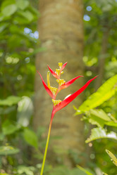 Similar image 6012536