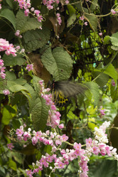 Similar image 6012542