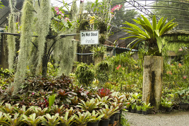 Similar image 6012569