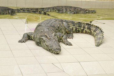 Similar image 6012576