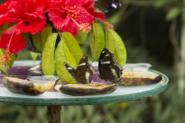 Similar image 6012583