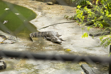 Similar image 6012588