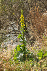 Similar image 6012591