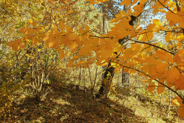 Similar image 6012671