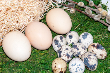 Similar image 6012913