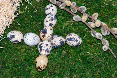 Similar image 6012914