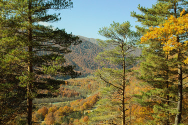 Similar image 6013253