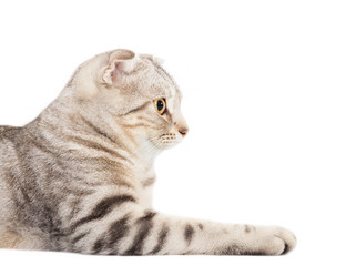 Similar image 6013294