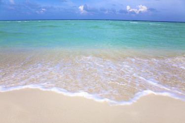 Similar image 6013314