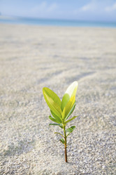 Similar image 6013329