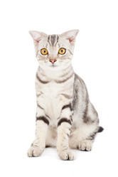 Similar image 6013358