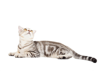 Similar image 6013359