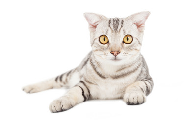 Similar image 6013360