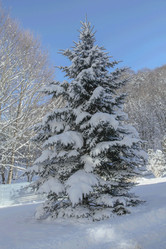 Similar image 6013374