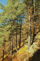 Similar image 6013376