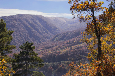 Similar image 6013377