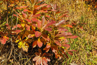 Similar image 6013378