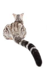 Similar image 6013391