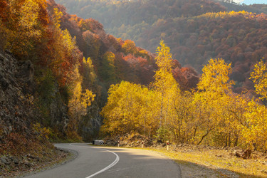 Similar image 6013393