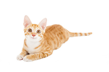 Similar image 6013515