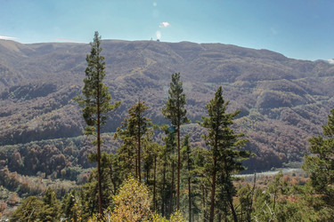 Similar image 6013567