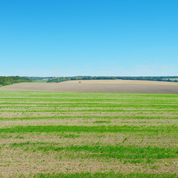 Similar image 6013616