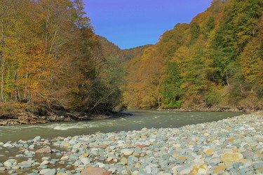 Similar image 6013632