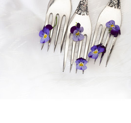 Similar image 6013634