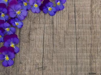 Similar image 6013640