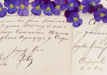 Similar image 6013643