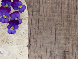 Similar image 6013644