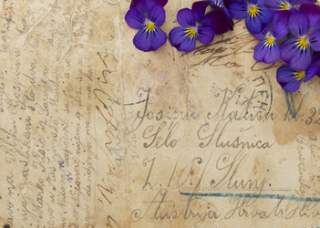 Similar image 6013645