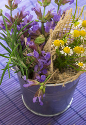 Similar image 6013737