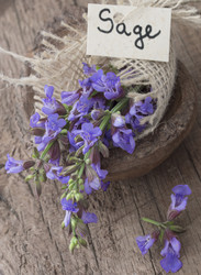 Similar image 6013741