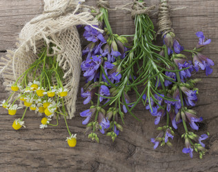 Similar image 6013742