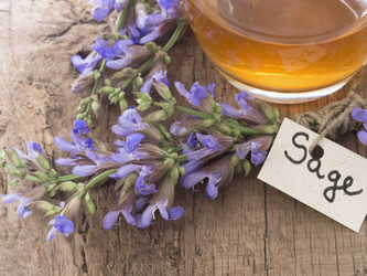 Similar image 6013746