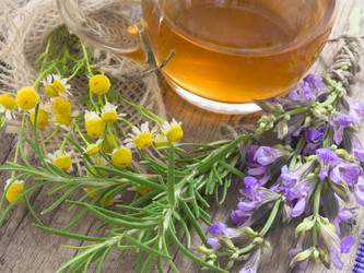 Similar image 6013747