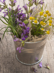 Similar image 6013748