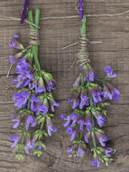 Similar image 6013750