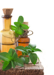 Similar image 6013756