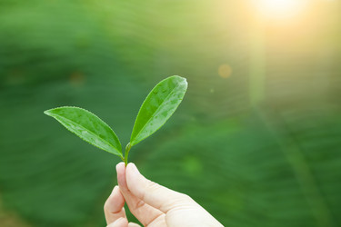 Similar image 6013783