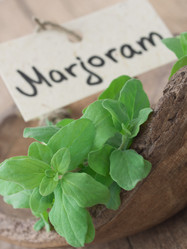 Similar image 6013833