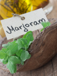 Similar image 6013834