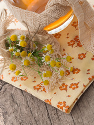 Similar image 6013840