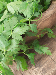 Similar image 6013841